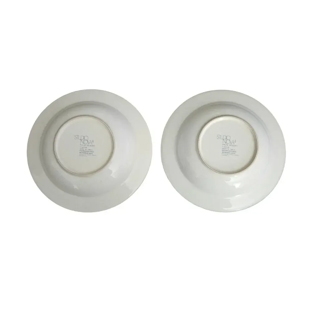 Studio Nova Palm Desert Y2216 Soup Cereal Bowls Geometric Set of 2 Japan